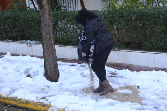 Κακοκαιρία «Ελπίδα»: Σοβαρά προβλήματα από το χιόνι σε Βύρωνα και Καρέα