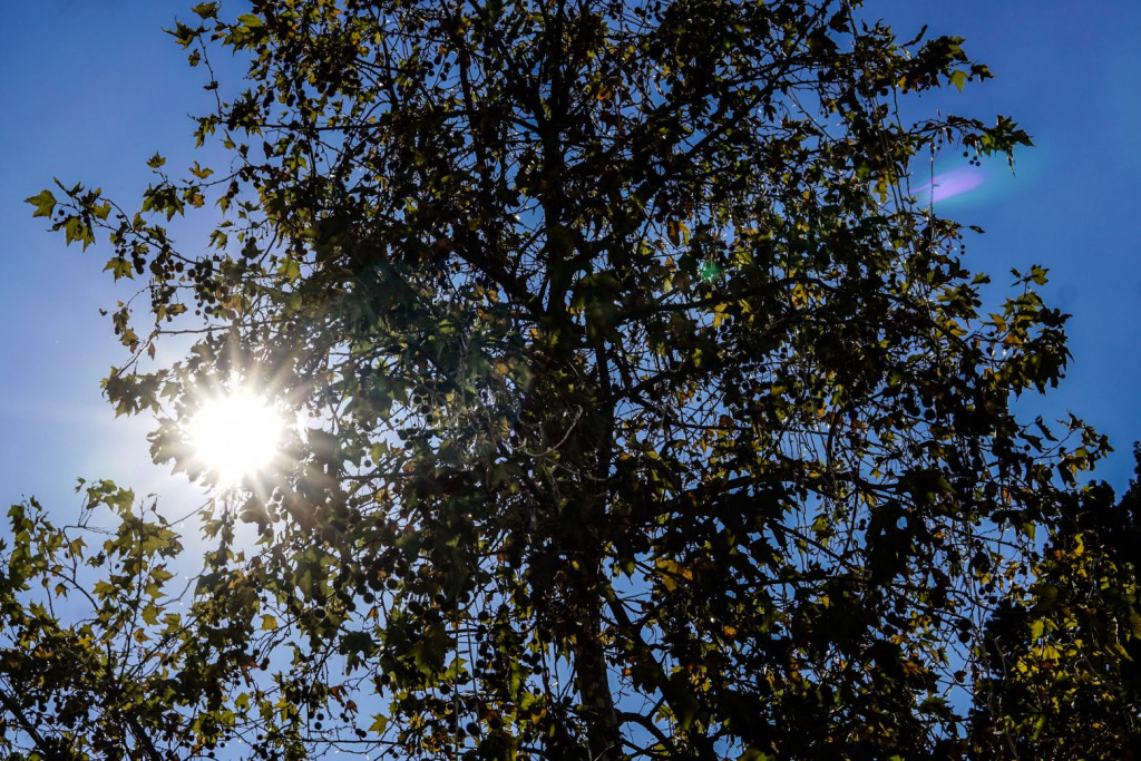 Καιρός – Καλός και τη Δευτέρα, πόσο θα ανέβει η θερμοκρασία