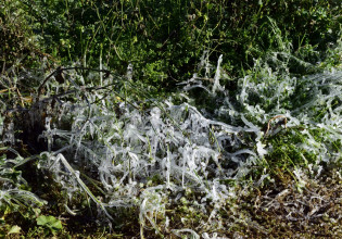 Καιρός – Παγετός «έπιασε» το πρωί σε αρκετές περιοχές της Ελλάδας
