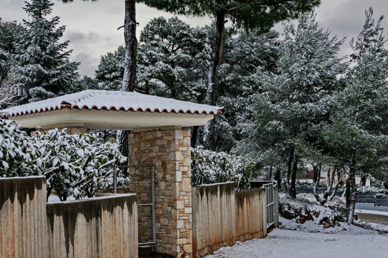 Πεντέλη: Να κηρυχθεί ο Δήμος σε κατάσταση έκτακτης ανάγκης