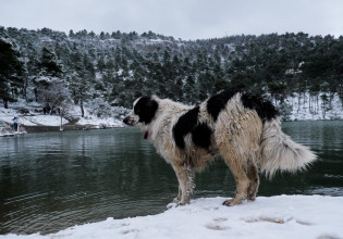 Κακοκαιρία «Ελπίδα»: Χαμός στο Twitter με τα λογοπαίγνια να δίνουν και να παίρνουν