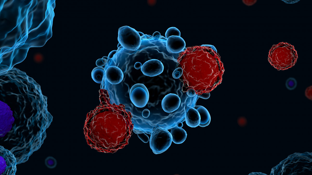 Κοροναϊός - Πώς λειτουργούν τα Τ λεμφοκύτταρα κατά της παραλλαγής Όμικρον 