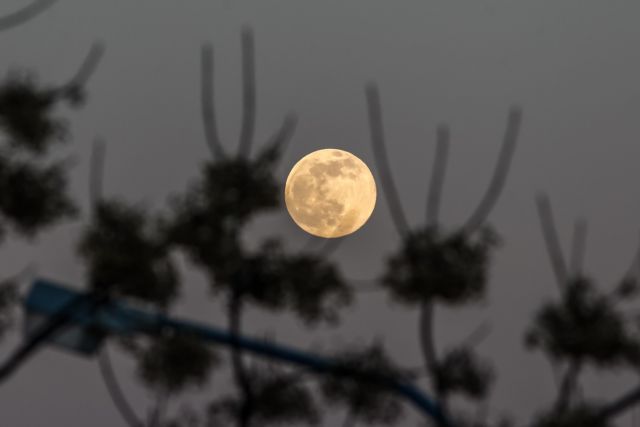 Πανσέληνος – Μαγικές εικόνες από το Φεγγάρι του Λύκου