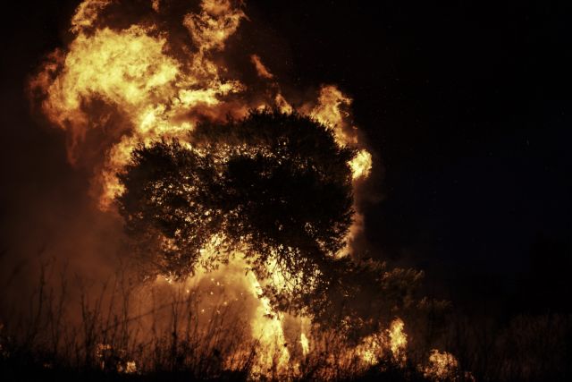 Άνδρας τυλίχθηκε στις φλόγες μέσα σε νεκροταφείο