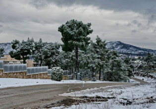 Κακοκαιρία: Σε ποιες περιοχές είναι απαραίτητες οι αντιολισθητικές αλυσίδες