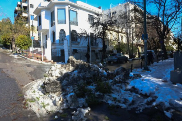 Αλιμος: Αρνήθηκε στον δήμο να κόψουν δέντρο, αλλά όταν έπεσε στο όχημά του ζήτησε αποζημίωση