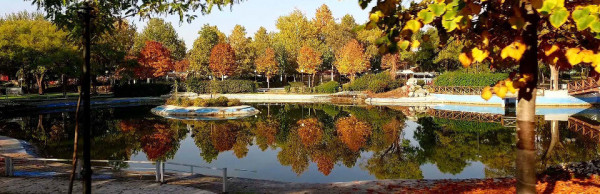 Πόλεις φιλικές προς τα παιδιά