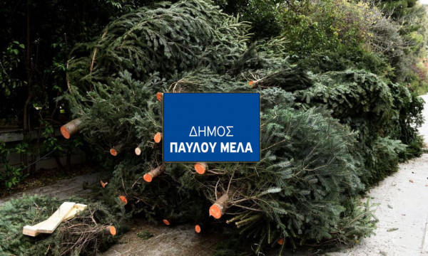 Κανένα Χριστουγεννιάτικο Δέντρο σε ΧΥΤΑ