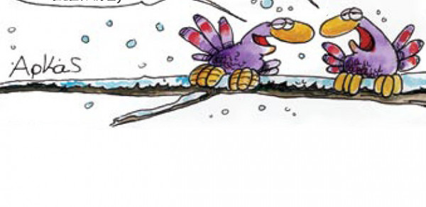 Αρκάς: Η σπουργιτίνα «παγώνει» τον σπουργίτη περισσότερο και από τον χιονιά