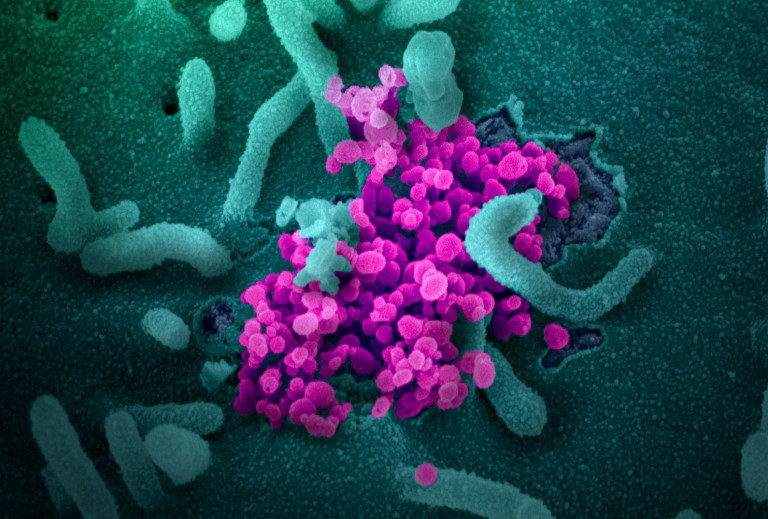 Κοροναϊός – Προτεραιότητα οι ασθενείς με αιματολογικό καρκίνο στα μονοκλωνικά αντισώματα