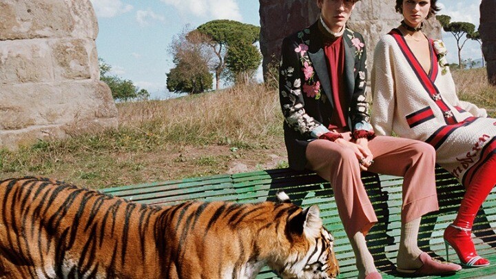 Οργάνωση προστασίας ζώων καλεί διάσημο οίκος μόδας να σταματήσει να χρησιμοποιεί τίγρεις στις διαφημίσεις του
