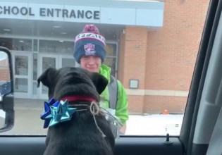 Αγοράκι έχασε τον σκύλο του και όταν τον ξαναβρίσκει ξεσπά σε κλάματα