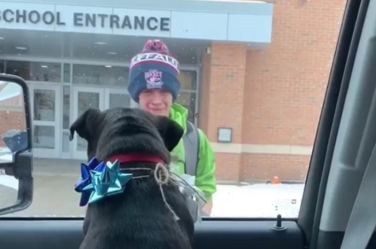 Αγοράκι έχασε τον σκύλο του και όταν τον ξαναβρίσκει ξεσπά σε κλάματα