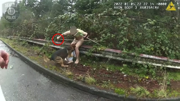 Άνδρας μαχαίρωσε μέχρι θανάτου αστυνομικό σκύλο – Σκληρό βίντεο