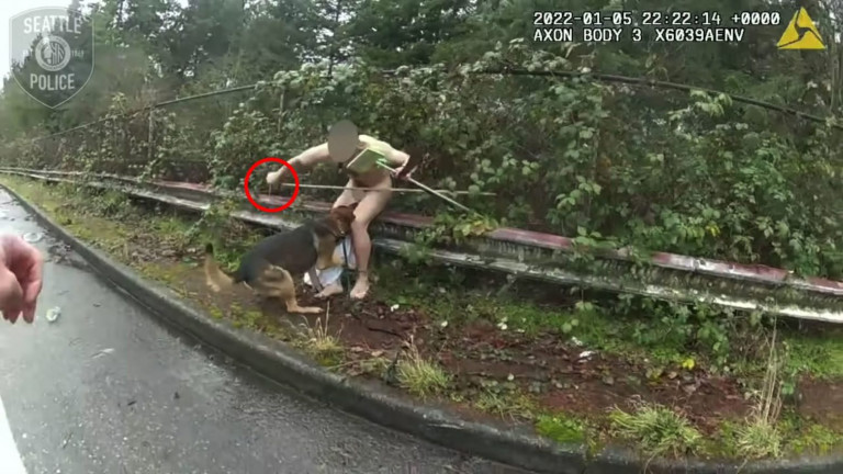 Άνδρας μαχαίρωσε μέχρι θανάτου αστυνομικό σκύλο – Σκληρό βίντεο