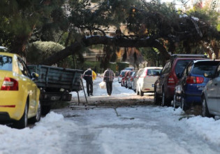 Δήμος Αθηναίων: Αποζημιώνει τους ιδιοκτήτες οχημάτων που υπέστησαν ζημιές από πτώσεις δέντρων