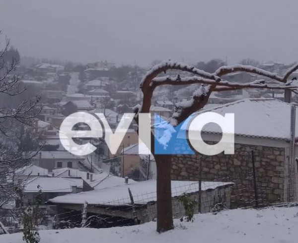 Κακοκαιρία «Ελπίδα»: Κλειστά όλα τα σχολεία στο Μαντούδι μέχρι την Τετάρτη