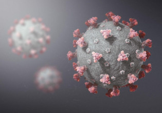 Όμικρον – Η νέα παραλλαγή διαφέρει στον τρόπο που μολύνει τα ανθρώπινα κύτταρα