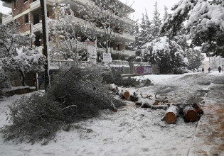 «Ελπίδα»: Χωρίς ρεύμα δεκάδες χιλιάδες νοικοκυριά στην Αττική