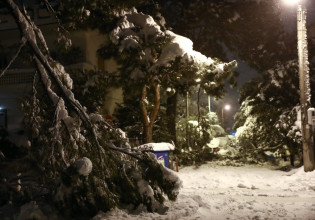 Κακοκαιρία «Ελπίδα»: Η κυβέρνηση «αδειάζει» Πατούλη και Στυλιανίδη για το «φιάσκο» του κρατικού μηχανισμού