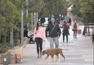 Συνεπιμέλεια και για τα κατοικίδια