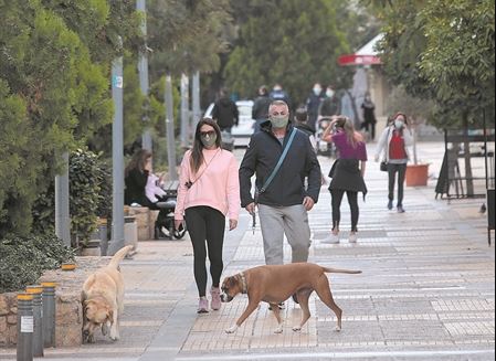 Συνεπιμέλεια και για τα κατοικίδια