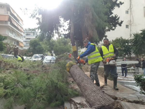 Κακοκαιρία «Ελπίδα»: Έπιασαν δουλειά τα συνεργεία και καθαρίζουν τα πεσμένα κλαδιά