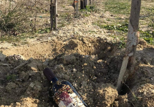 «Φυτεύουν» μπουκάλια κρασιά για …παλαίωση