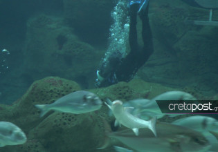 Θεοφάνια – Εντυπωσιακές εικόνες από τον Αγιασμό των υδάτων στο Ενυδρείο Κρήτης