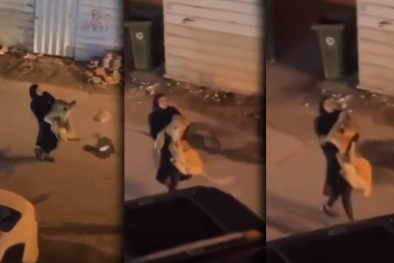Βίντεο που σοκάρει – Κορίτσι προσπαθεί να μαζέψει το οικόσιτο λιοντάρι της από τον δρόμο
