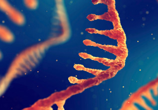 Pfizer – Μετά τον κορoνοϊό, εμβόλιο mRNA για τον έρπητα ζωστήρα