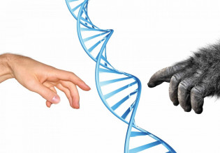 Απαντώντας στους αρνητές της εξέλιξης