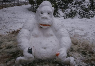 Ποιος κυβερνά αυτή τη χώρα; Πάντως, όχι ο… Χατζηπετρής