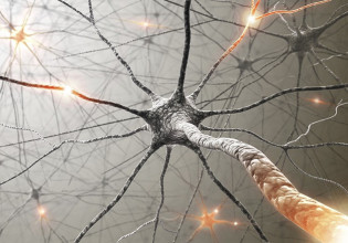 Εκφυλιστικές βλάβες φέρνει ο κοροναϊός στον εγκέφαλο όσων νοσηλεύονται