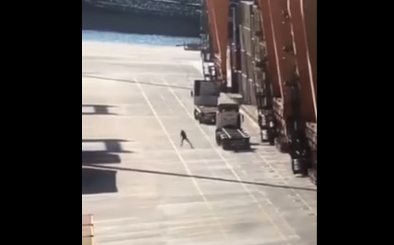 Πειραιάς – Παραλίγο νέα τραγωδία στο λιμάνι, εργάτης γλίτωσε από πτώση κοντέινερ