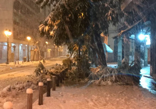 Κακοκαιρία «Ελπίδα»: Έπεσαν δέντρα στο κέντρο της Αθήνας – Εικόνες & βίντεο