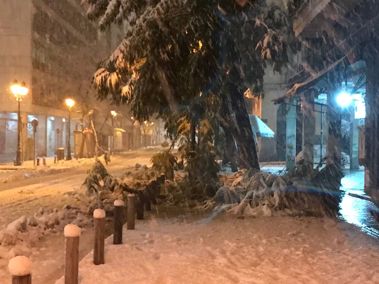 Κακοκαιρία «Ελπίδα»: Έπεσαν δέντρα στο κέντρο της Αθήνας - Εικόνες & βίντεο