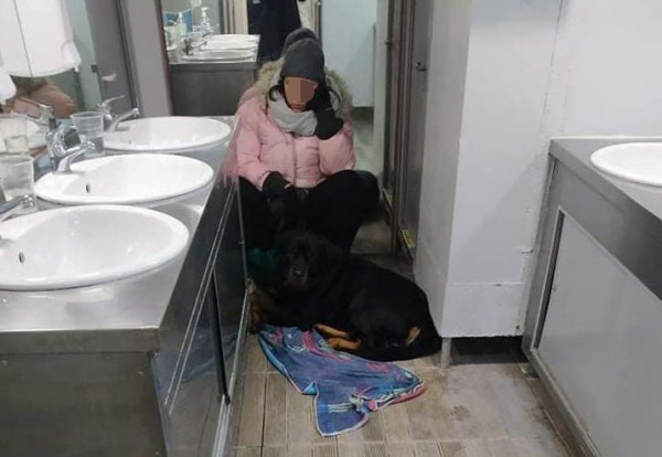 Βόλος: Ταξίδεψε επί πέντε ώρες στην τουαλέτα του πλοίου γιατί… δεν υπήρχε χώρος για τον σκύλο της