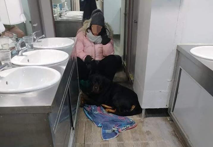 Βόλος: Ταξίδεψε επί πέντε ώρες στην τουαλέτα του πλοίου γιατί... δεν υπήρχε χώρος για τον σκύλο της