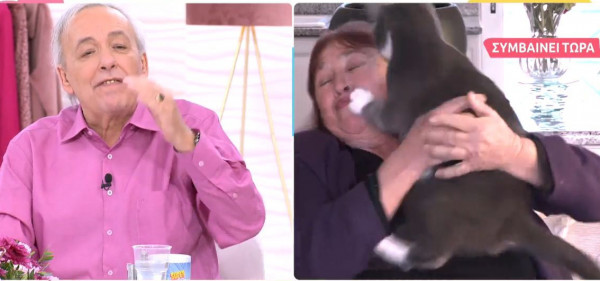 Ρούλα Βροχοπούλου – Της όρμησε η γάτα της ενώ ήταν on air