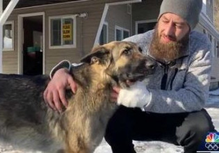 ΗΠΑ – Λυκόσκυλο οδήγησε αστυνομικούς στο σημείο όπου έπαθε τροχαίο το αφεντικό του