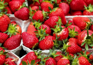 Εξαγωγές: Ξεκίνησε δειλά – δειλά η σεζόν για φράουλα και ντομάτα