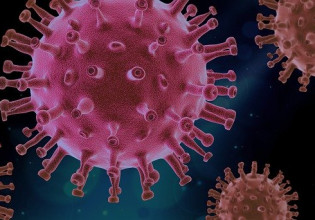Τσακρής – Η Όμικρον είναι στην ουσία καινούριος ιός – Νέα παραλλαγή του κοροναϊού εντοπίστηκε στη Γαλλία