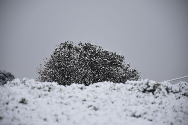 Διομήδης - Ραγδαία επιδείνωση του καιρού - Σε ποιες περιοχές θα χιονίσει