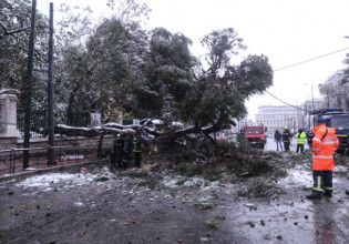 Κακοκαιρία «Ελπίδα»: Συστάσεις του υπουργείου προς τους εργοδότες για τις εργασίες σε εξωτερικούς χώρους