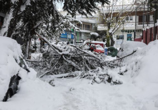 Κακοκαιρία «Ελπίδα»: Πεσμένα δέντρα από το χιόνι – Έντεκα συνεργεία δασεργατών στην Αθήνα