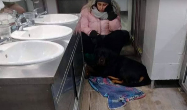 Σκόπελος: Καταγγελία ζωόφιλης ότι την κακομεταχειρίστηκαν στο πλοίο προς τον Βόλο