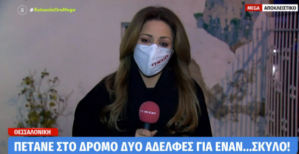 Θεσσαλονίκη – Πετάνε στο δρόμο δύο αδελφές για ένα σκύλο