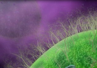 Καρκίνος: Ενίσχυση στις θεραπείες CAR-T για να στοχεύουν και συμπαγείς όγκους