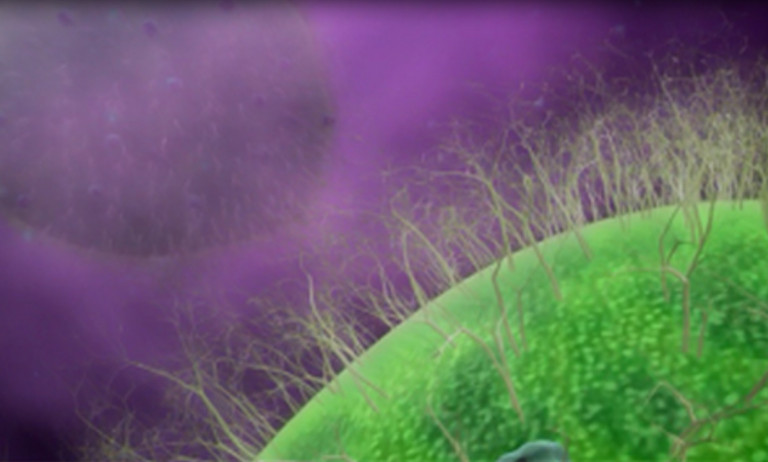 Καρκίνος: Ενίσχυση στις θεραπείες CAR-T για να στοχεύουν και συμπαγείς όγκους